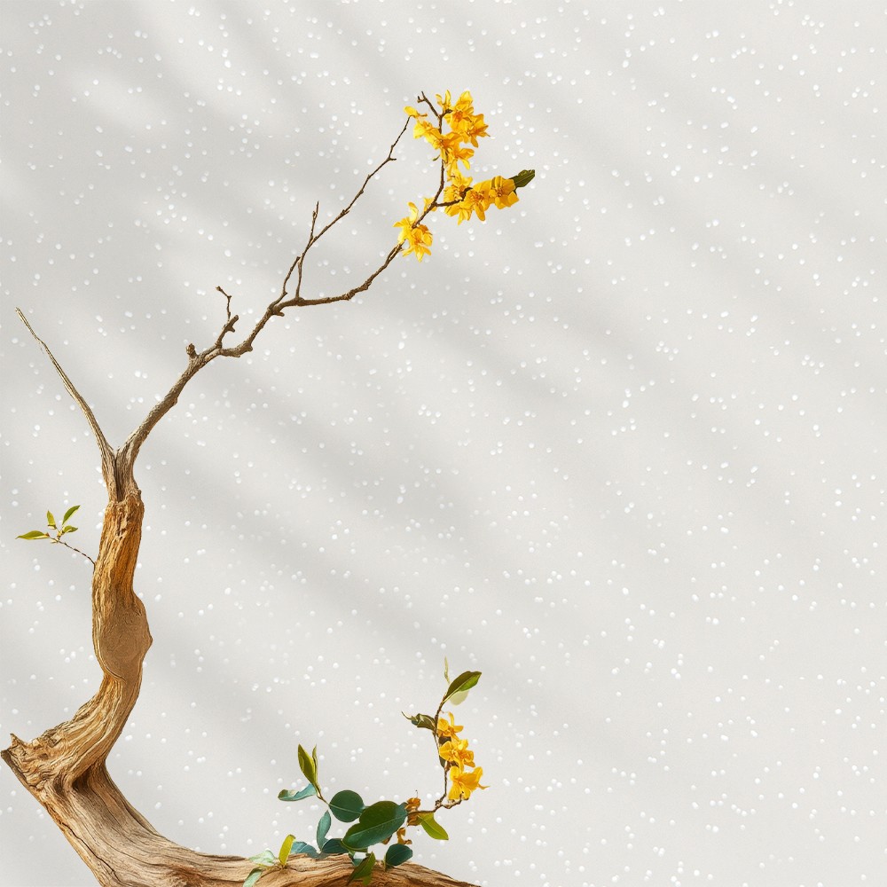 Fandixingyu Anti Scrub Odorless Wall Paint for Home-