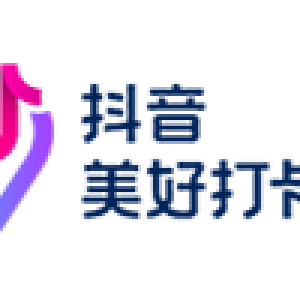 Partner VII