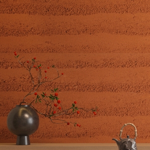 Microtopping Wall Texture: Moder