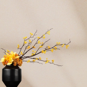 Dafengni Scrub Resistant Interio